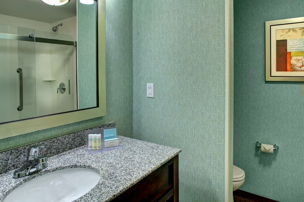 Room, 1 King Bed, Refrigerator & Microwave at Hampton Inn and Suites Coconut Creek in West Dixie Bend, FL