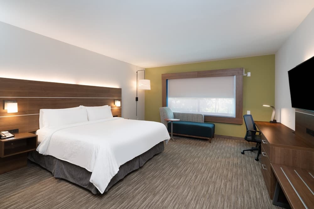 Room, 1 King Bed, Accessible Bathtub (Communications, Mobility) at Holiday Inn Express & Suites Atlanta Airport NE - Hapeville by IHG in Atlanta, GA