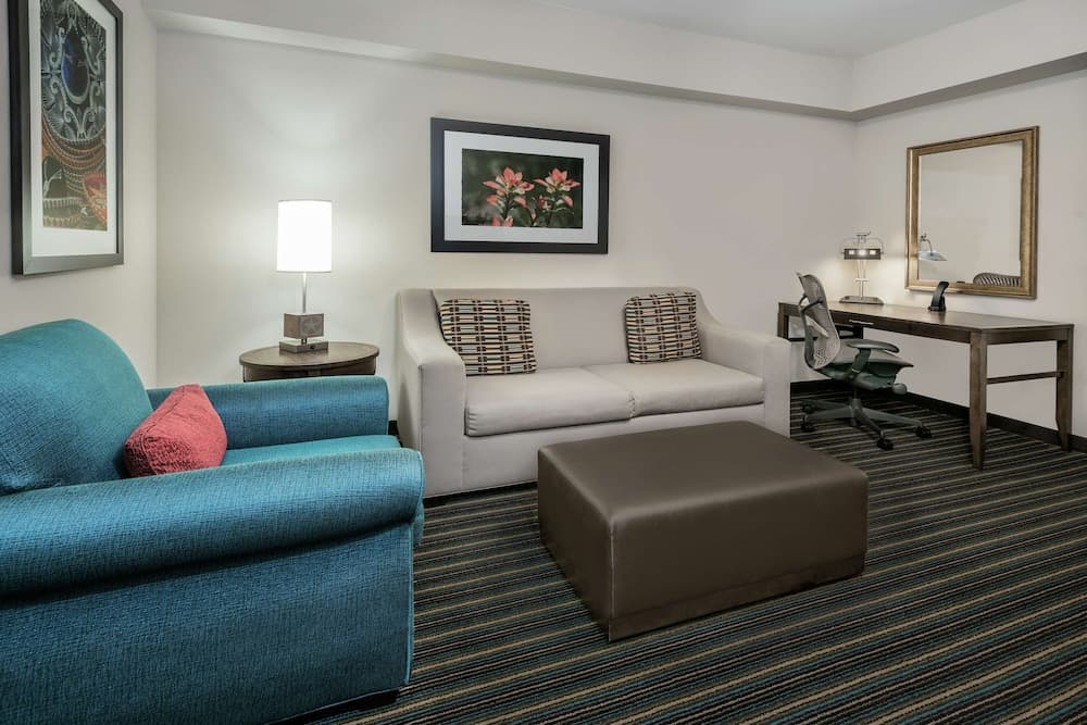 Suite, 1 King Bed, Accessible, Non Smoking (Hearing Impaired) at Hilton Garden Inn San Antonio/Rim Pass Drive in San Antonio, TX