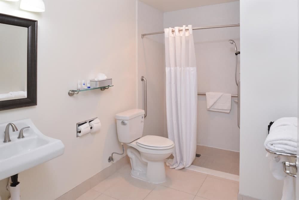 Standard Room, 1 King Bed, Accessible, Non Smoking at Best Western Plus LA Mid-Town Hotel in Los Angeles, CA