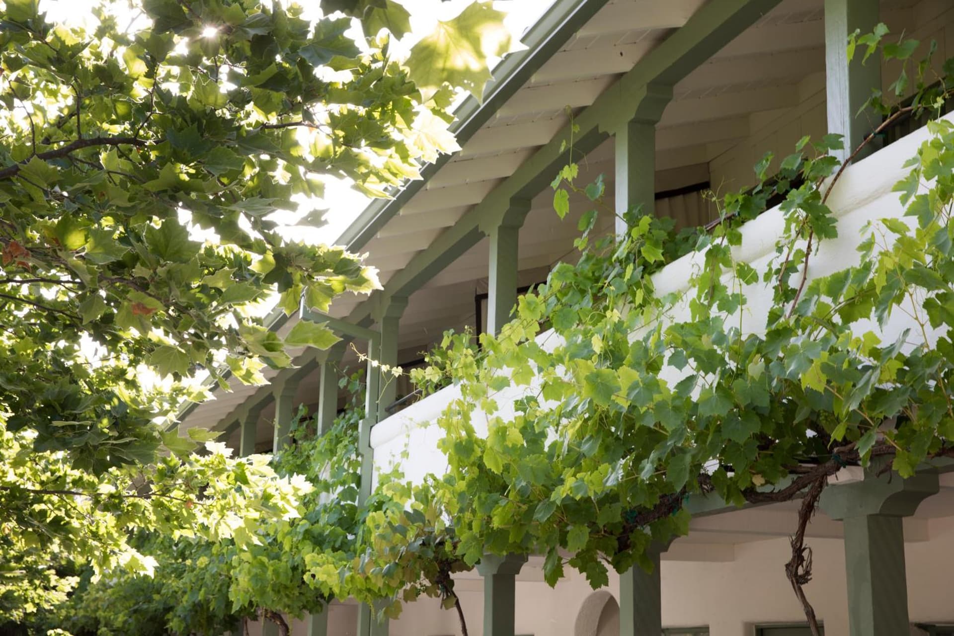 Indian Springs Resort & Spa — hotel in Calistoga, California