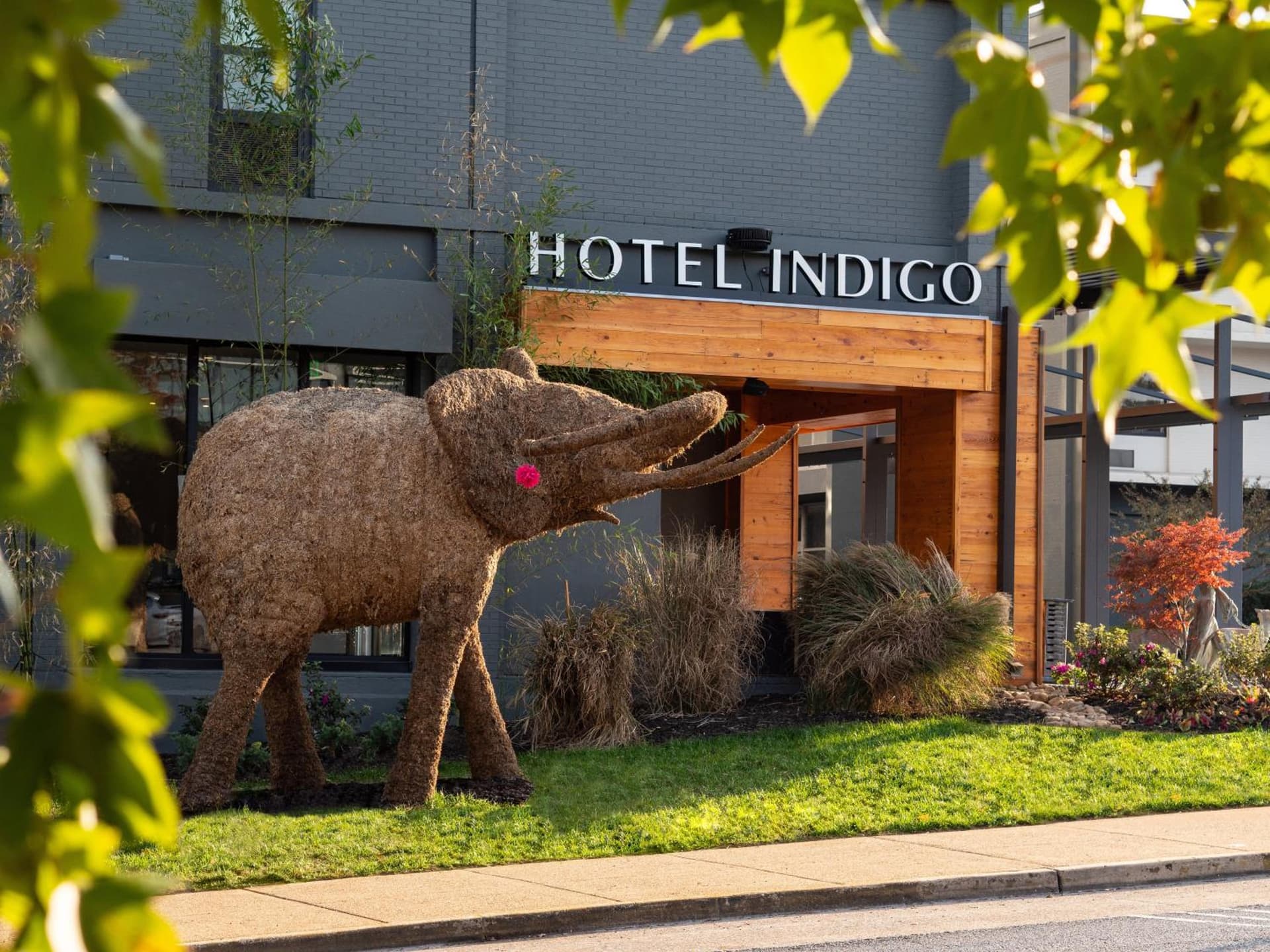 Hotel Indigo Chattanooga - Downtown by IHG — hotel in Chattanooga, Tennessee