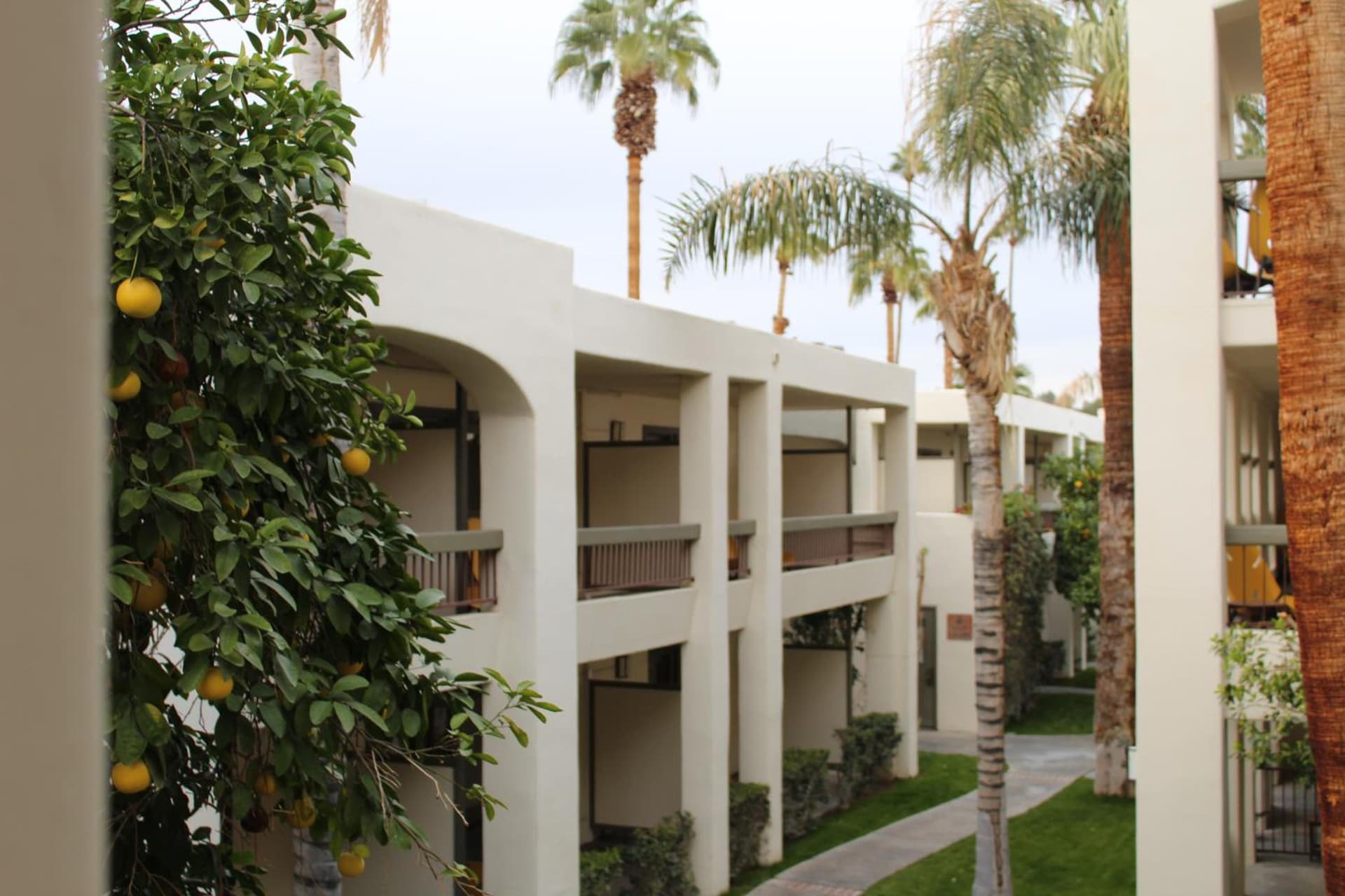 Palm Mountain Resort & Spa — hotel in Palm Springs, California