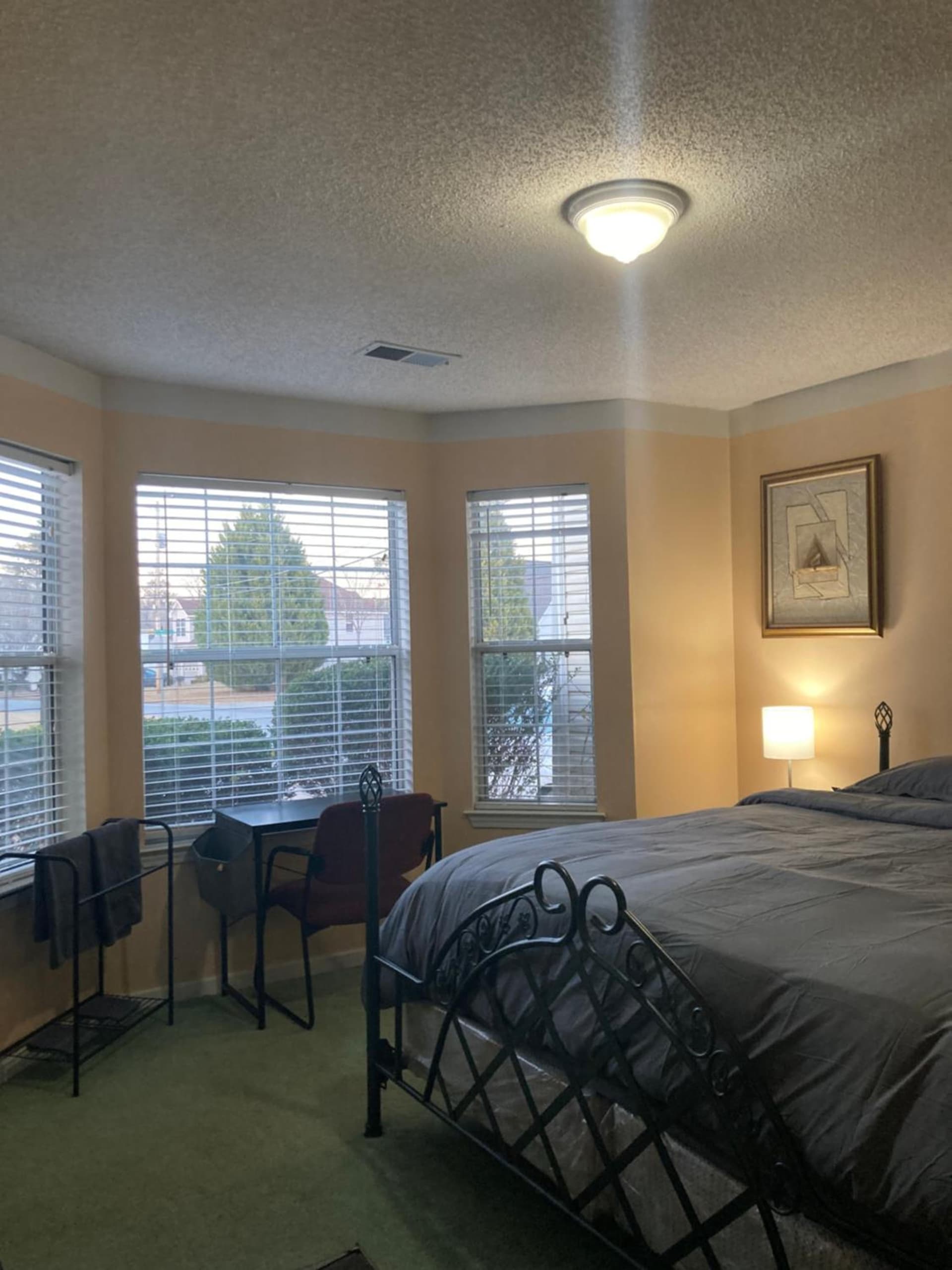 Stunning Room! King Size bed. Private Bath!Room 2 property views in Decatur, GA — gallery photo 3