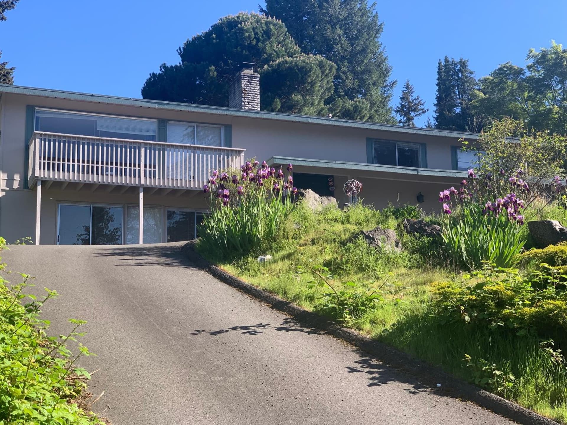 Landscape View queen-size room — hotel in Redmond, Washington