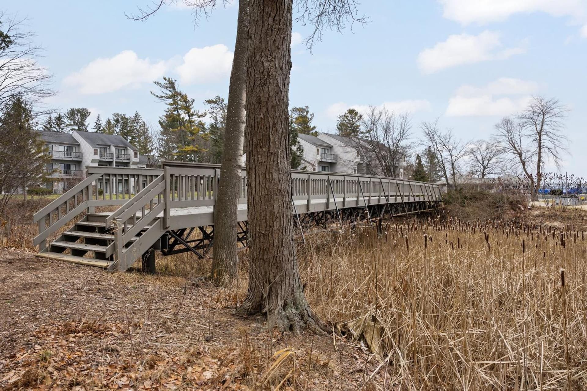 The Shores property views in Williamsburg — gallery photo 3