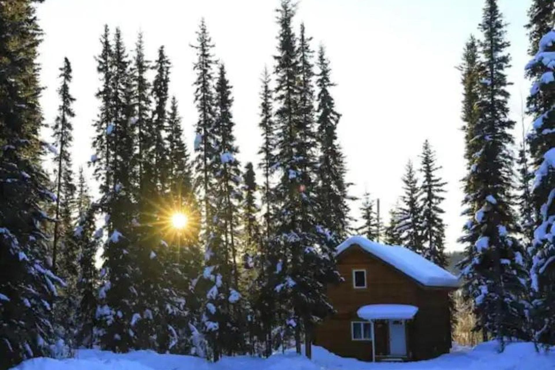 Cabin in the woods Fairbanks, Alaska, United States — hotel in Fairbanks, Alaska