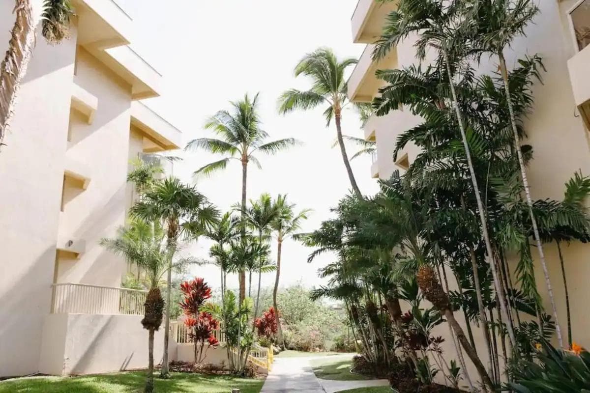 Steps to Beach | Maui Banyan King Studio featured exterior or lobby in Wailea, HI — similar hotel