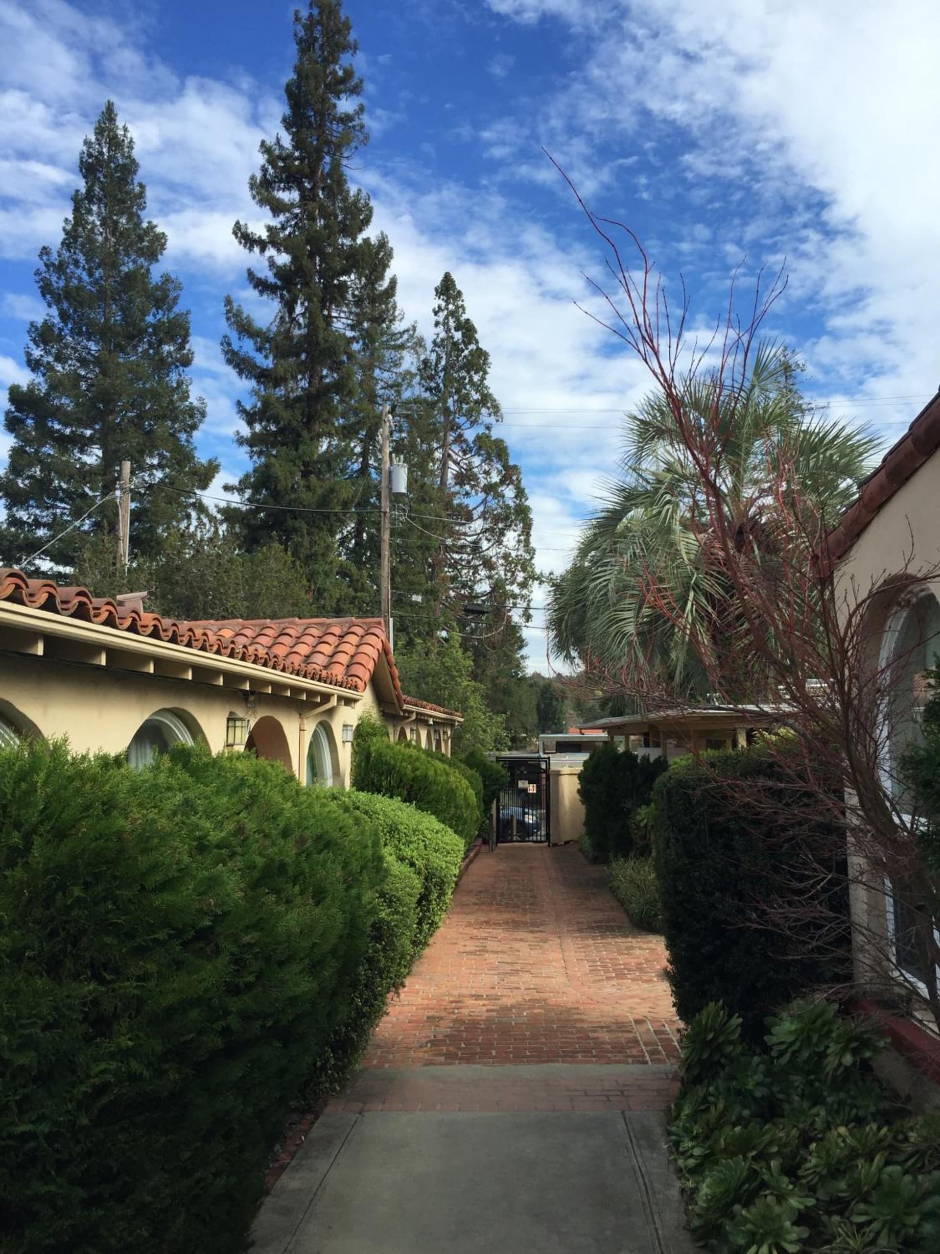 Los Gatos Garden Inn Hotel — hotel in Felton, California