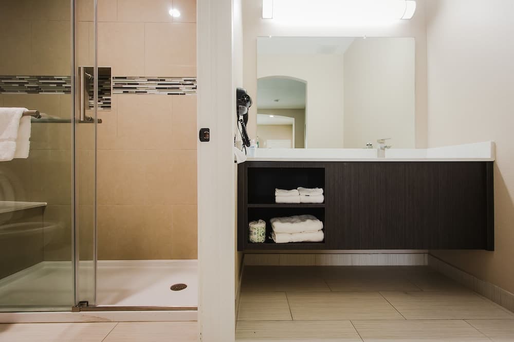 Palace Inn and Suites - Willowbrook Mall property views in Houston, TX — gallery photo 3