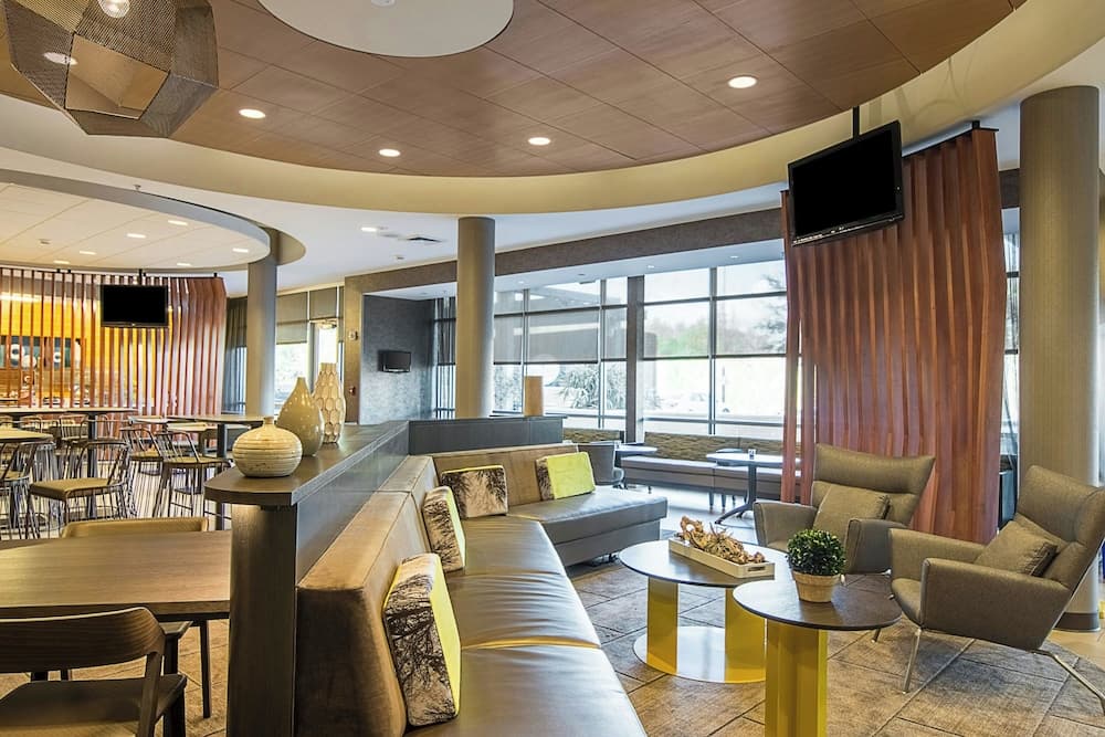 SpringHill Suites by Marriott Tampa North/I 75 Tampa Palms — hotel in Tampa, Florida