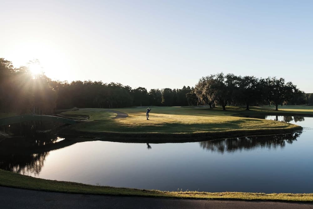 Innisbrook Resort — hotel in Palm Harbor, Florida