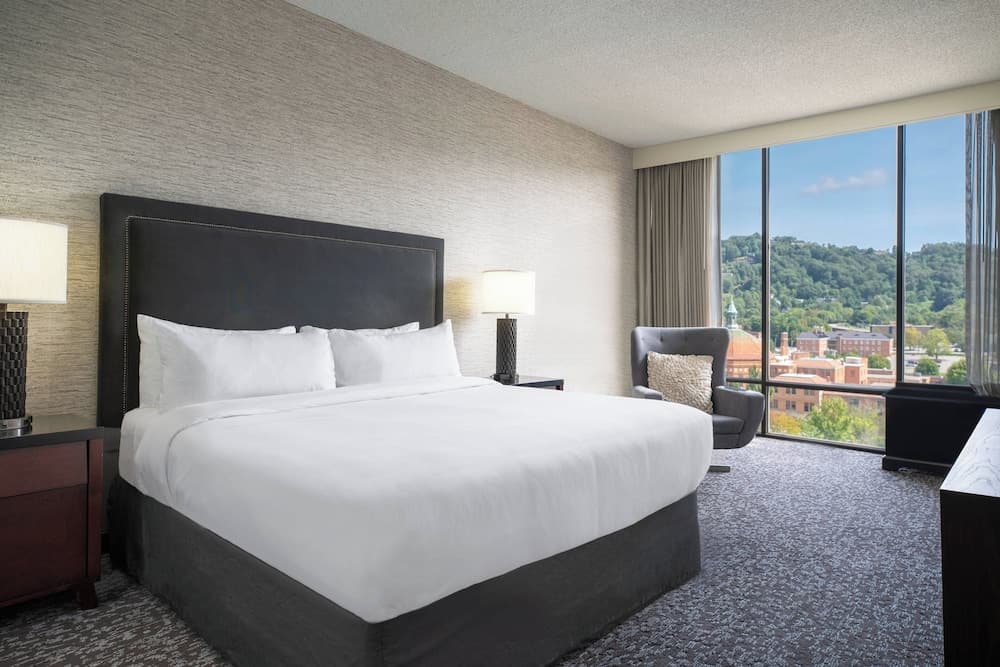 Renaissance Asheville Downtown Hotel — hotel in Asheville, North Carolina