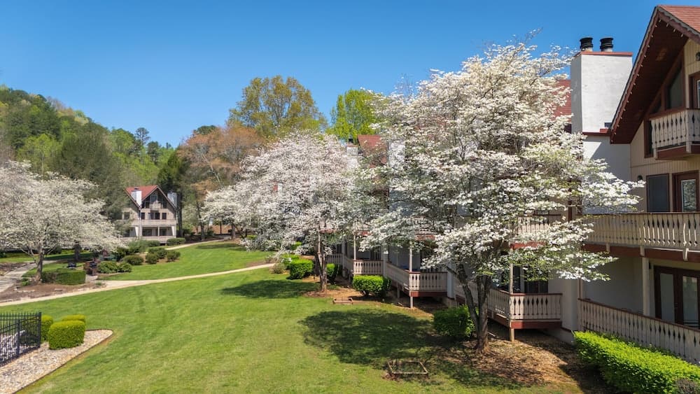 Loreley Resort — hotel in Helen, Georgia
