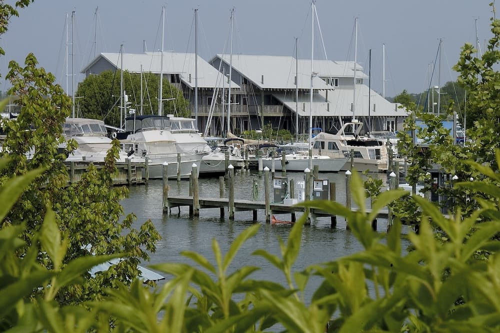 Knapps Narrows Marina & Inn — hotel in Tilghman Island, Maryland