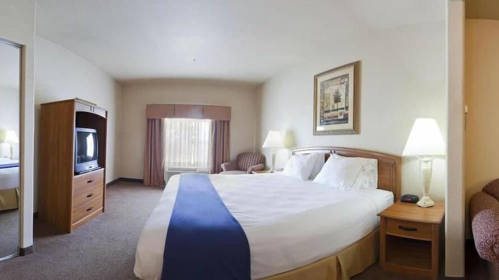 Holiday Inn Express Hotel & Suites Mission-McAllen Area by IHG property views in Mission, TX — gallery photo 3