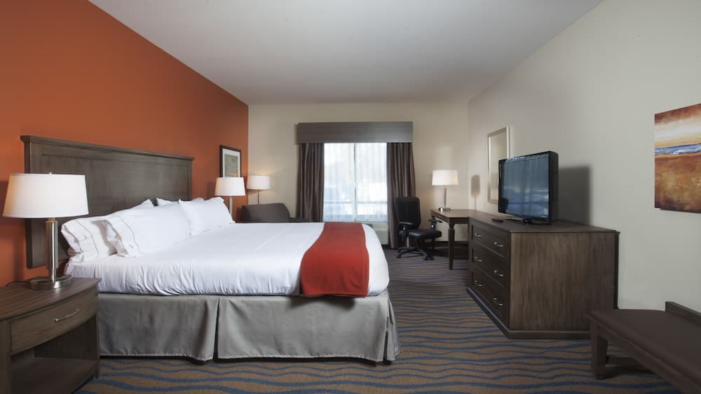 Holiday Inn Express Hotel & Suites Morgan City Tiger Island by IHG property views in Morgan City, LA — gallery photo 3