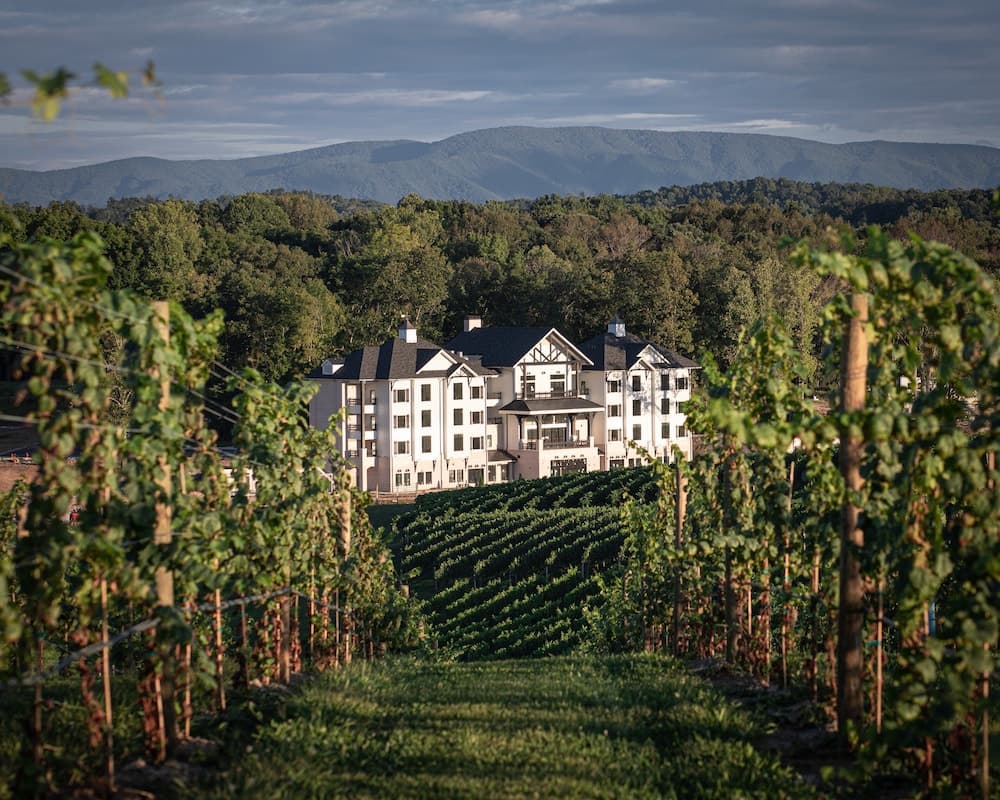 Nicewonder Farm & Vineyard — hotel in Bristol, Virginia